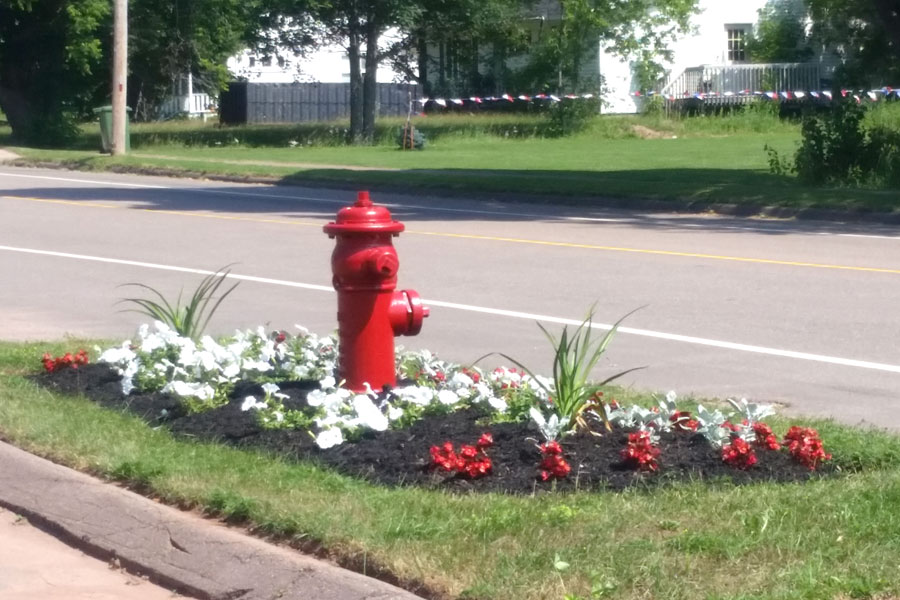 Public Safety